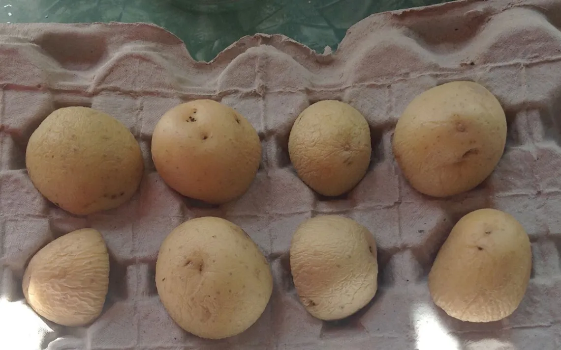potatoes