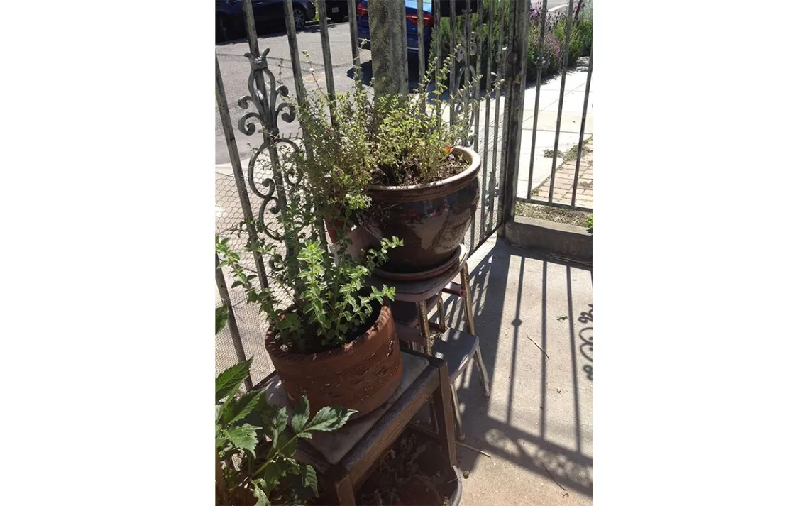 garden pot