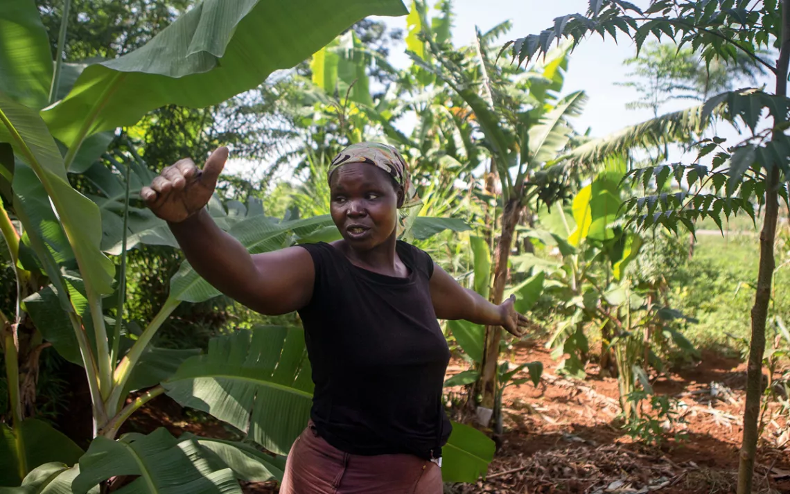 Irene Barbara Amayo started a poultry farm in Uganda.