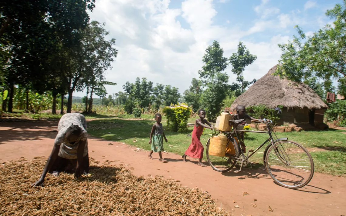Frequent droughts have increased the distance villagers have to walk to get water in Uganda.