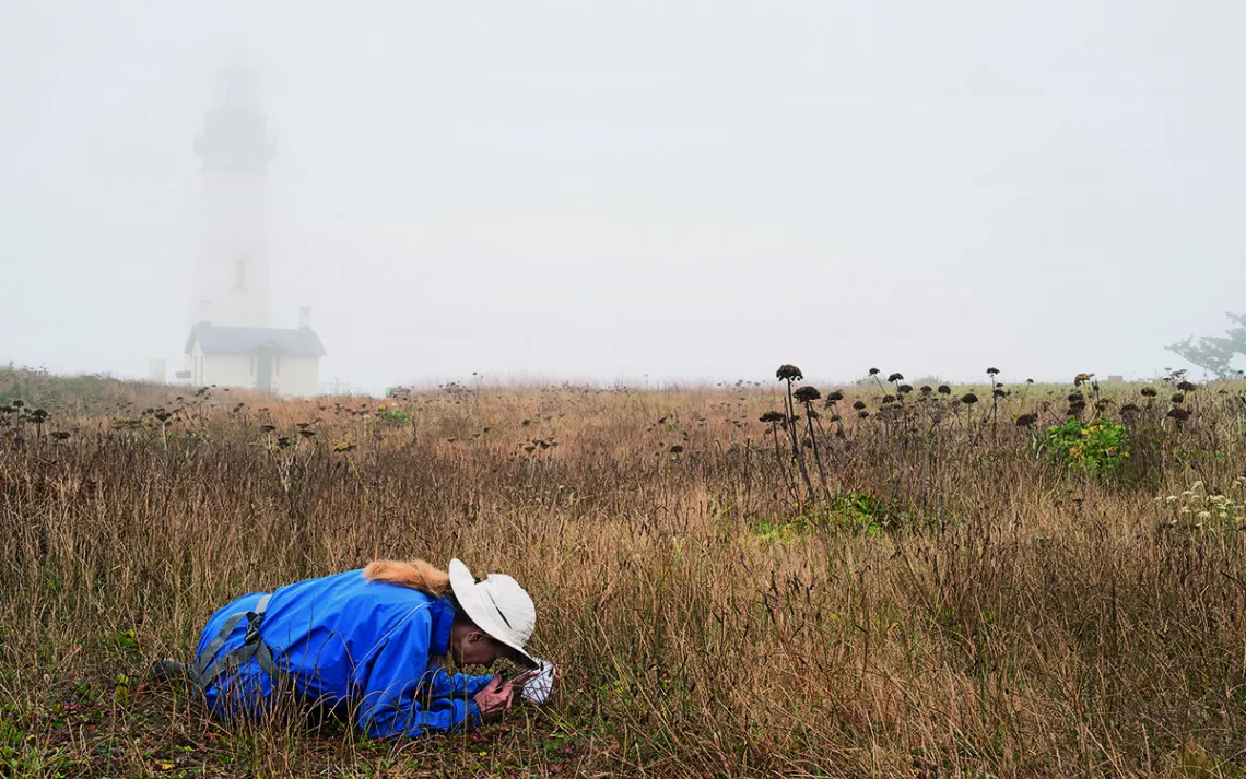 Kim Hummer, a researcher for the USDA, looks for wild strawberries on the Oregon coast.