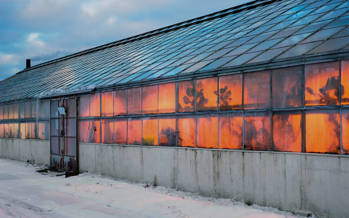 A greenhouse at the New York State Agricultural Experiment Station