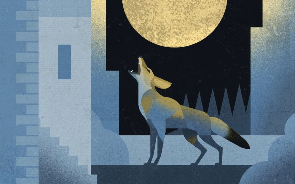 Illustration of wolf