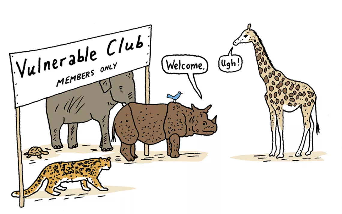 Giraffe, rhino, and other animals under a sign that says 'Endangered Club'