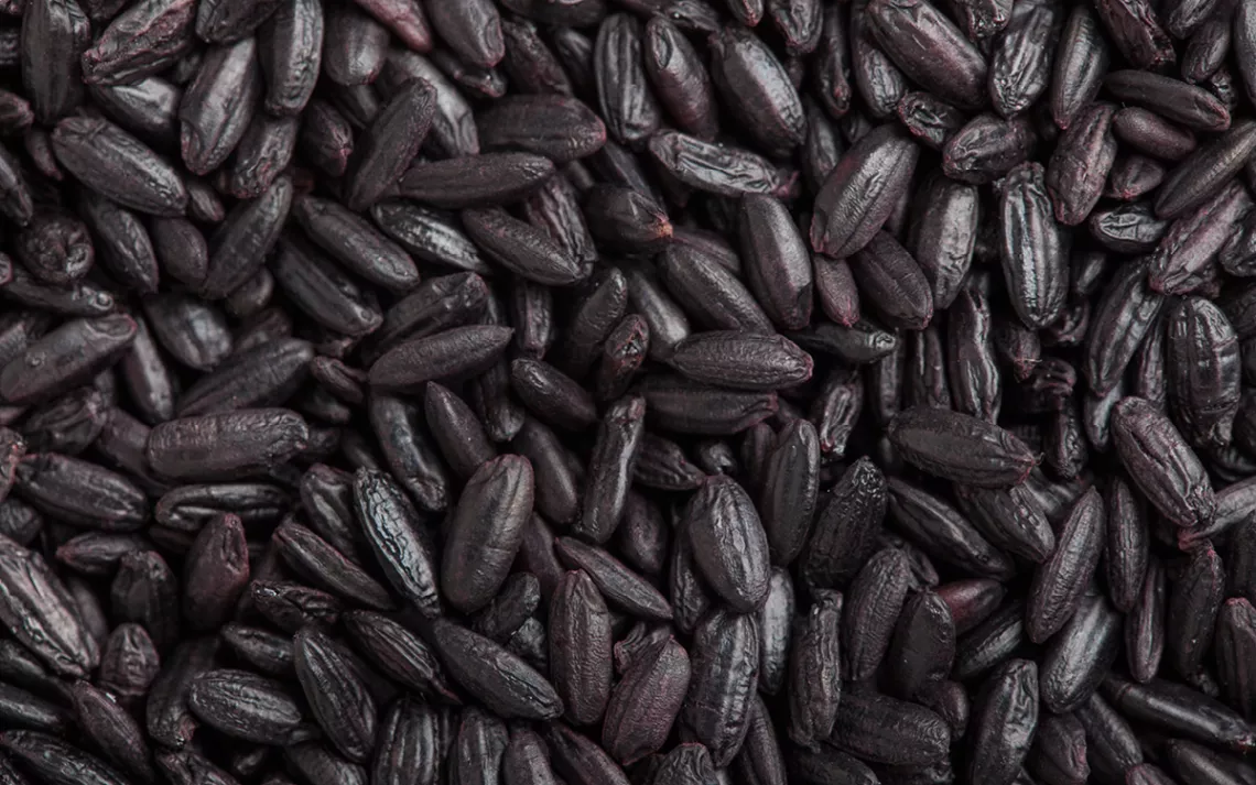 Black rice
