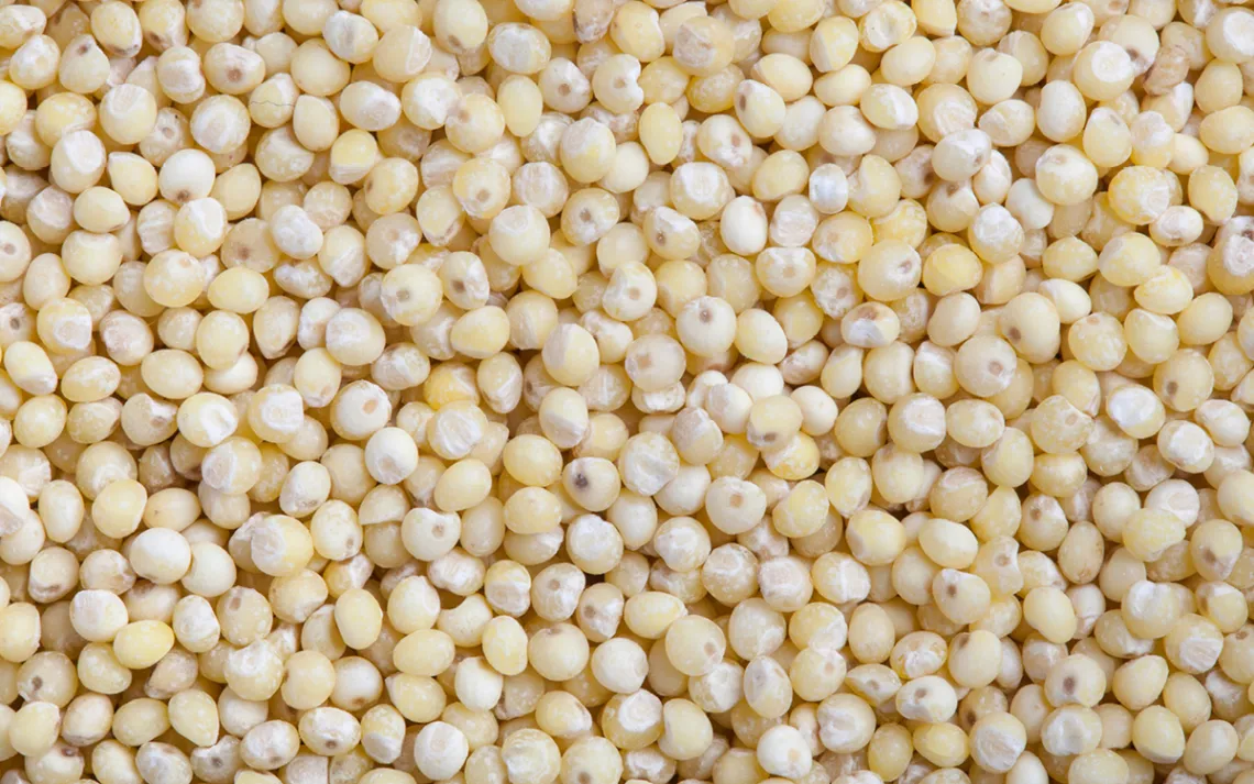 millet
