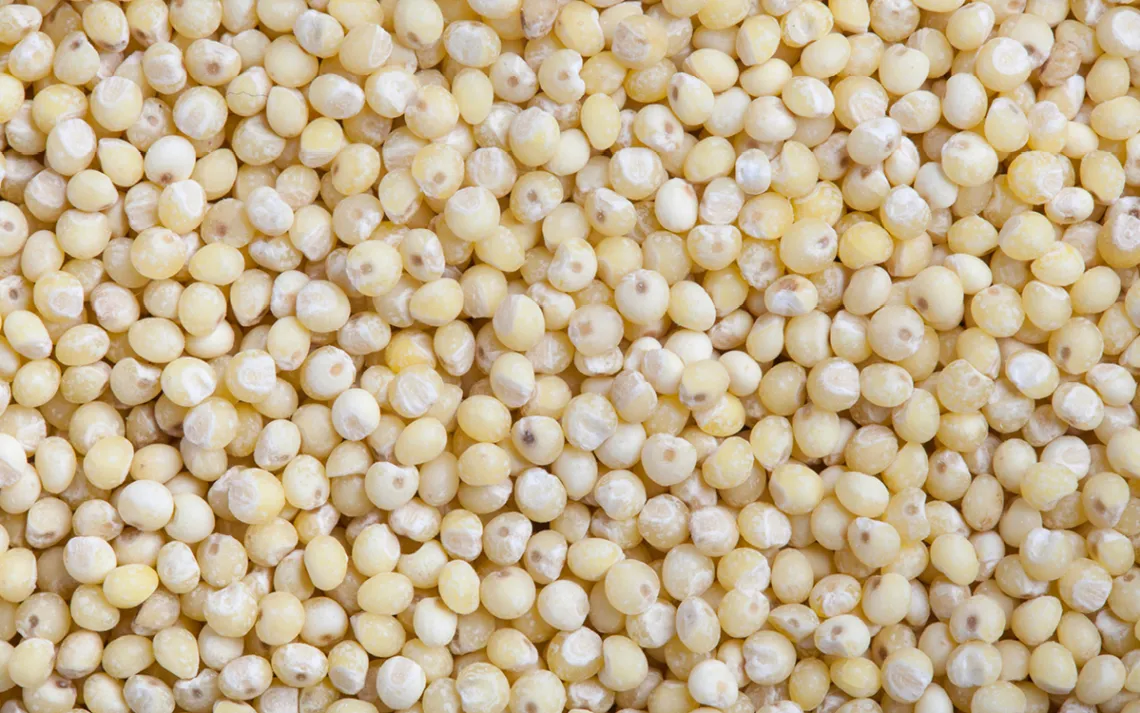 millet