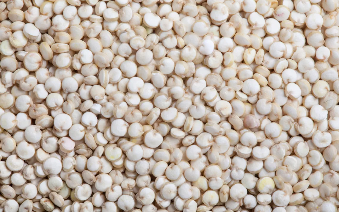 quinoa