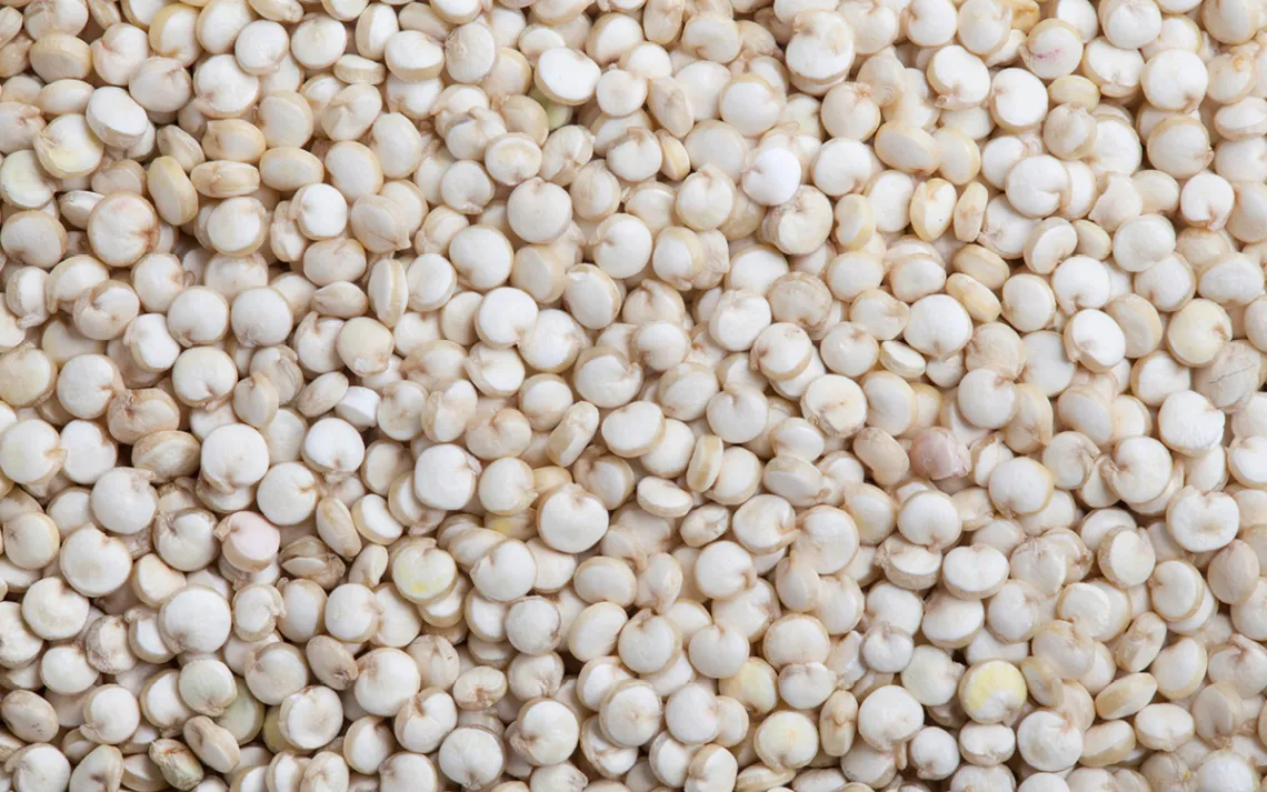 quinoa
