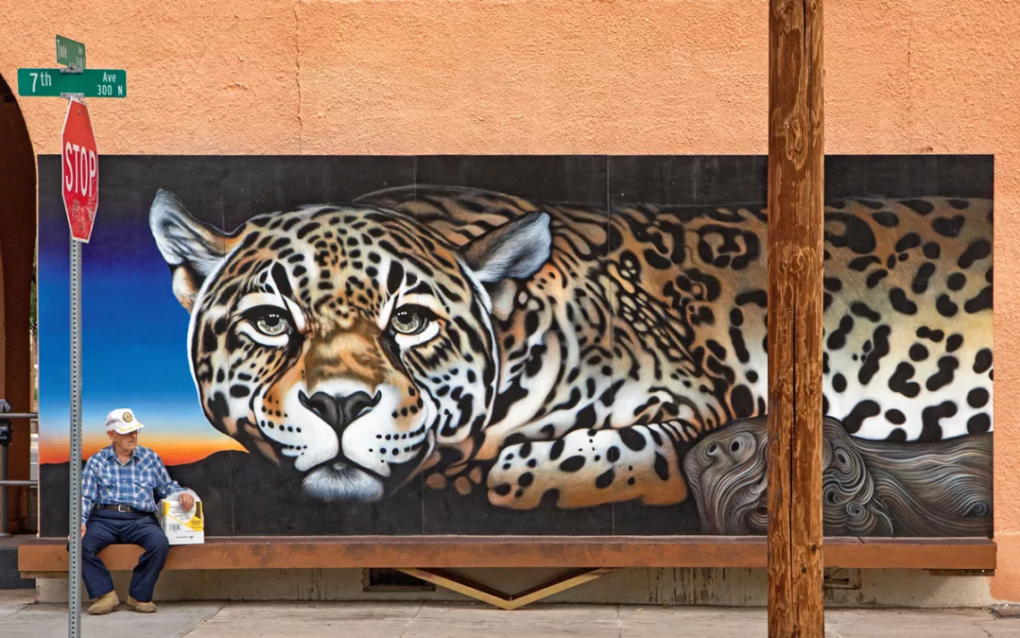 Jaguar mural by Kati Astraeir, in Tucson, Arizona