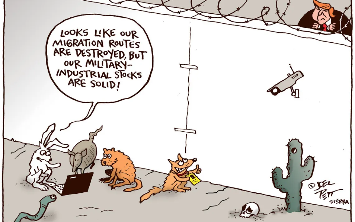Cartoon