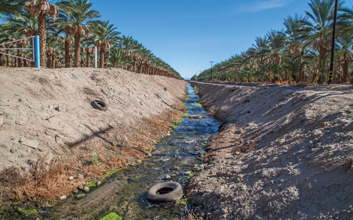 One water source the Salton Sea can count on is agricultural runoff.