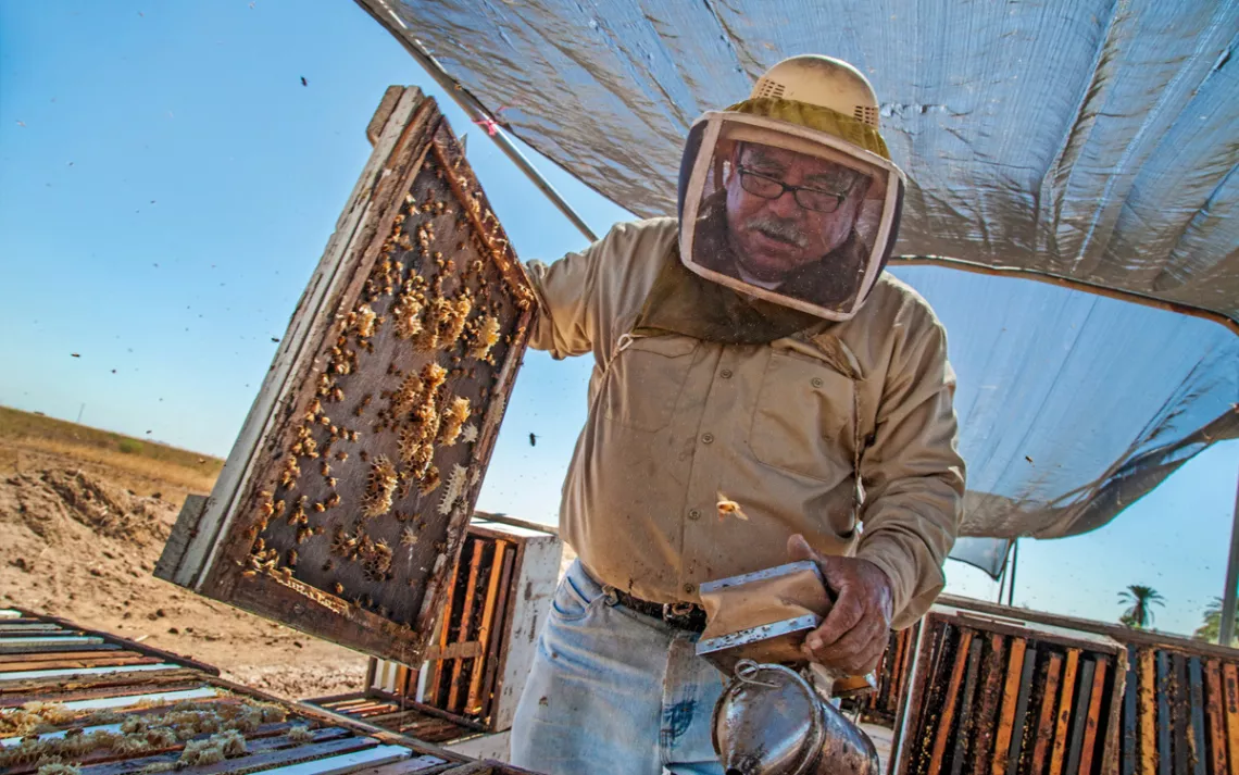 Ruben Sanchez says his bees are stressed by the blowing dust.