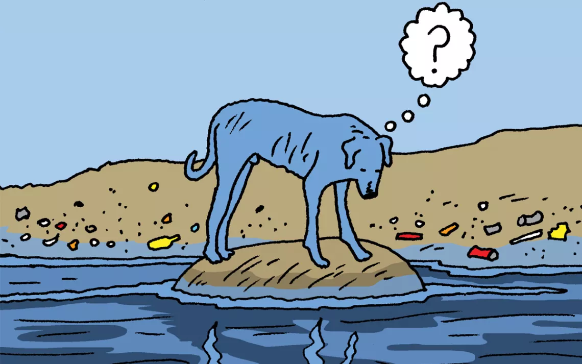 Illustration of a blue dog