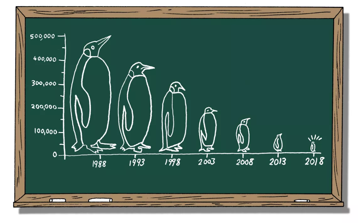 The world's largest colony of king penguins has shrunk by 90 percent over the last 30 years.