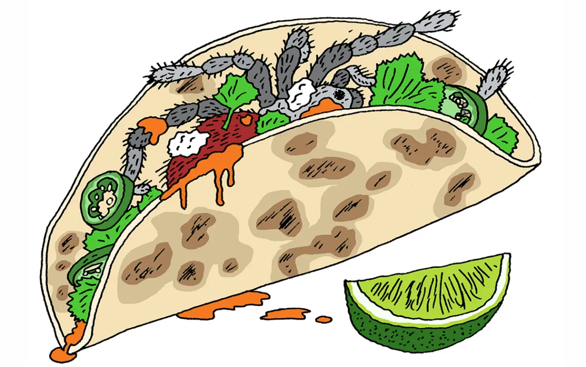 tarantula tacos