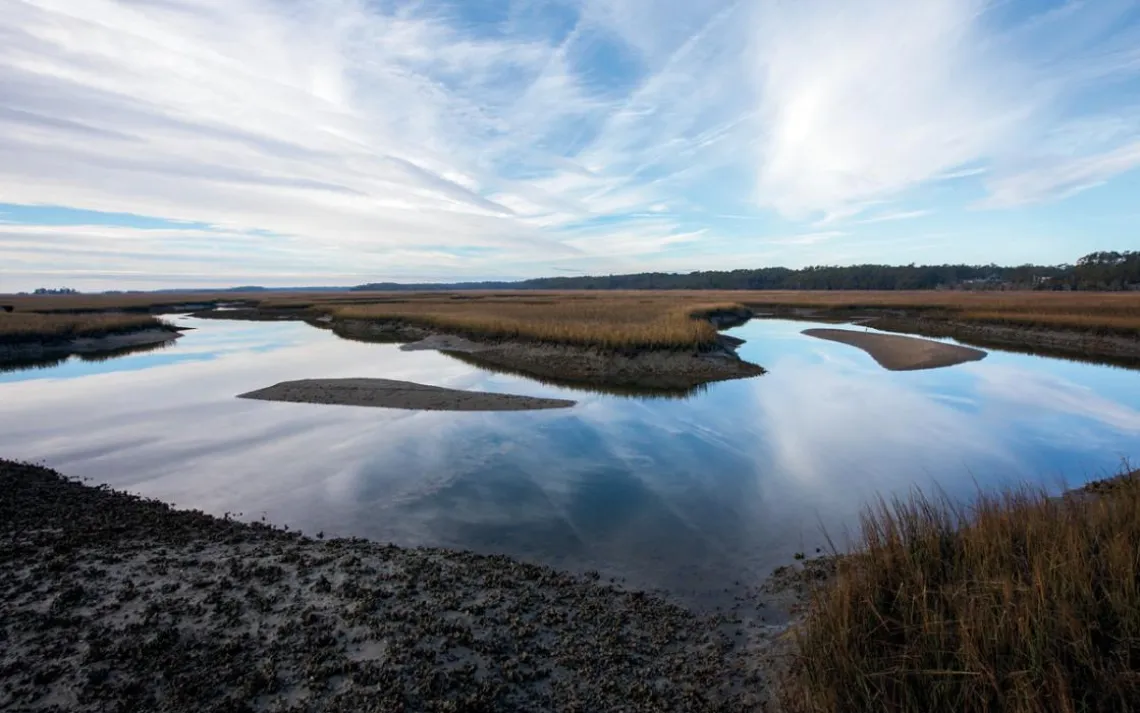 About 90 percent of commercially harvested marine species in South Carolina spend time in estuaries like this one, the North Inlet–Winyah Bay National Estuarine Research Reserve.