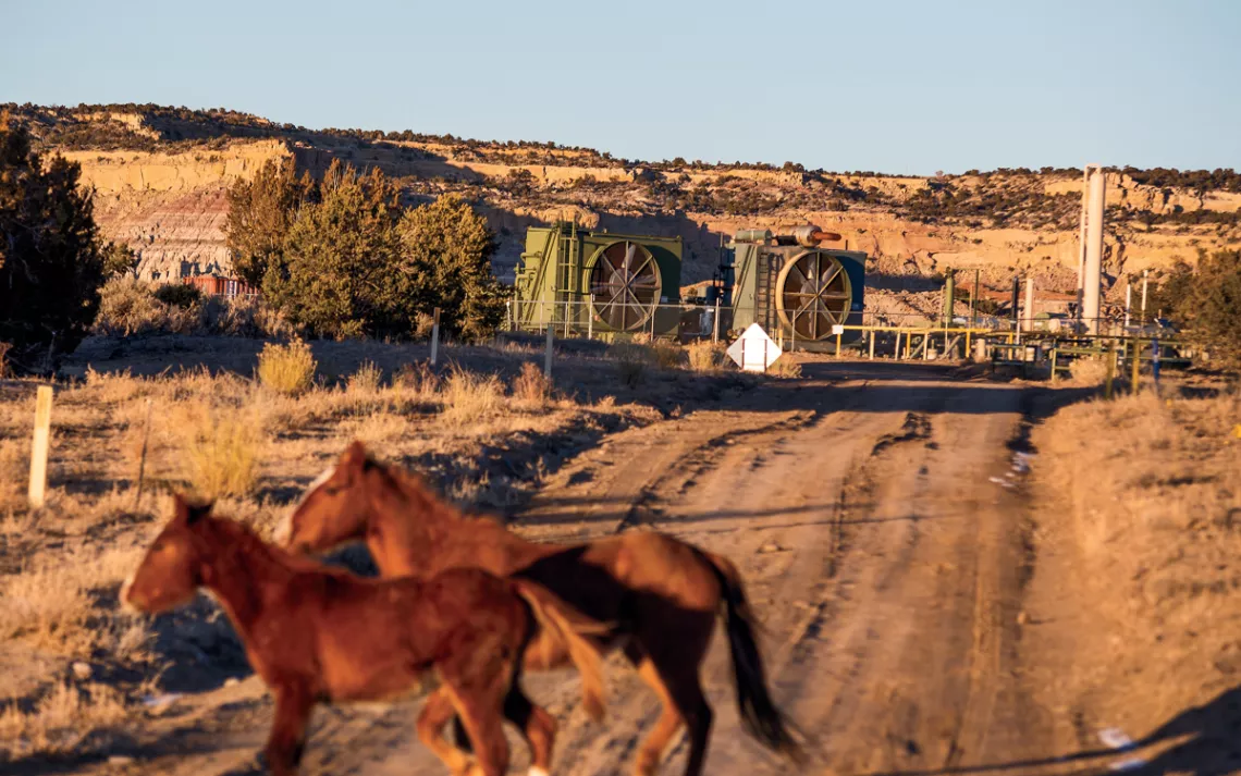 Feral horses roam the high desert landscape dotted with fracking equipment in Counselor, New Mexico.