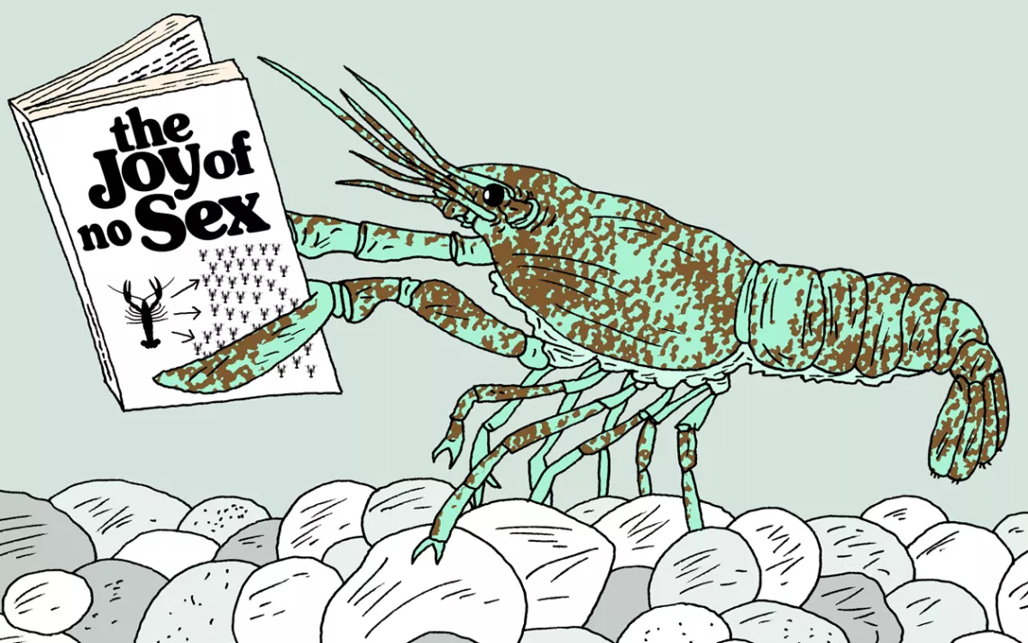Crayfish holding a book