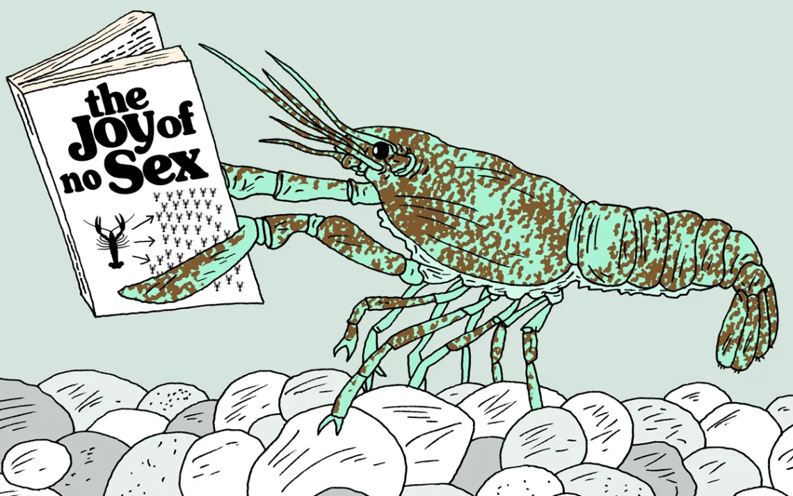 Crayfish holding a book