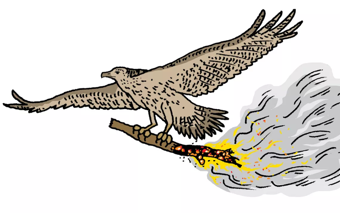 Illustration of a falcon holding a burning stick