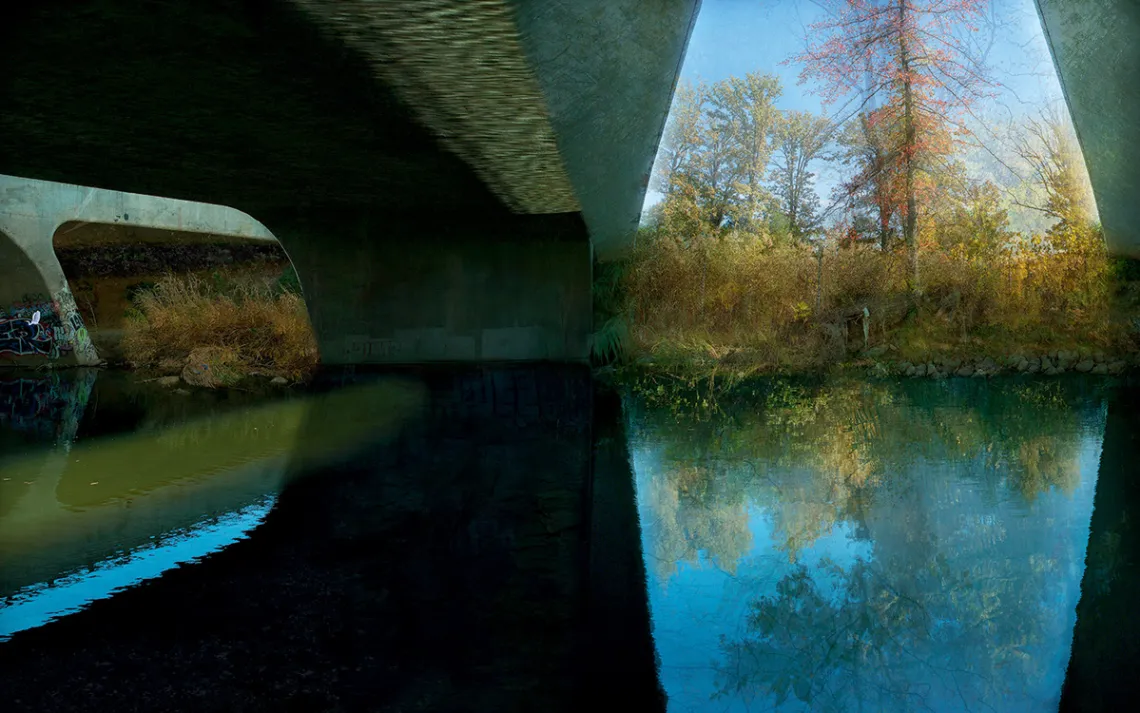 A multilayered photograph taken from within the Sepulveda Basin combined with scenes of forest growth.