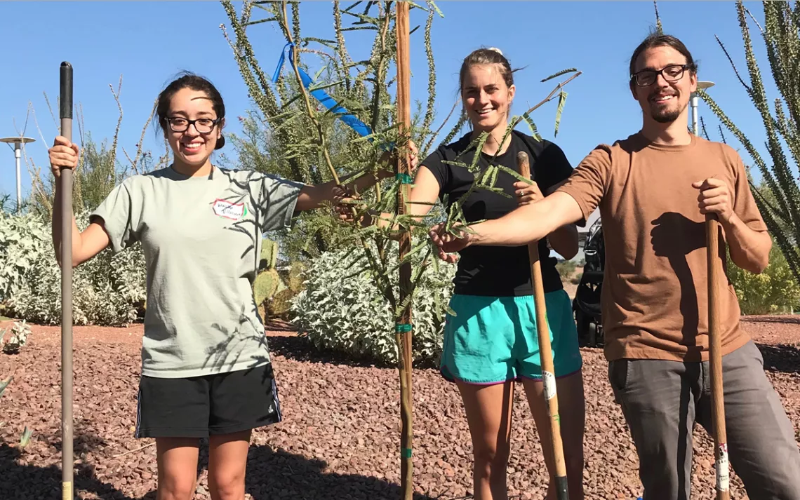 ASU and local utility volunteers plant trees in Phoenix for carbon offsets.