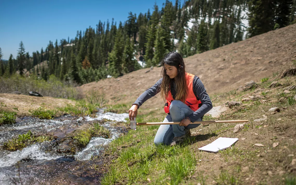 Angelica Rodriguez collects water samples for her Chico STEM Connections Collaborative summer research project.