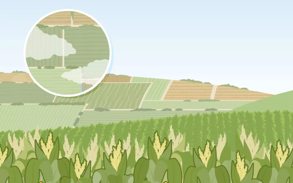 High-Tech Farmers Are Adapting to a Changing World