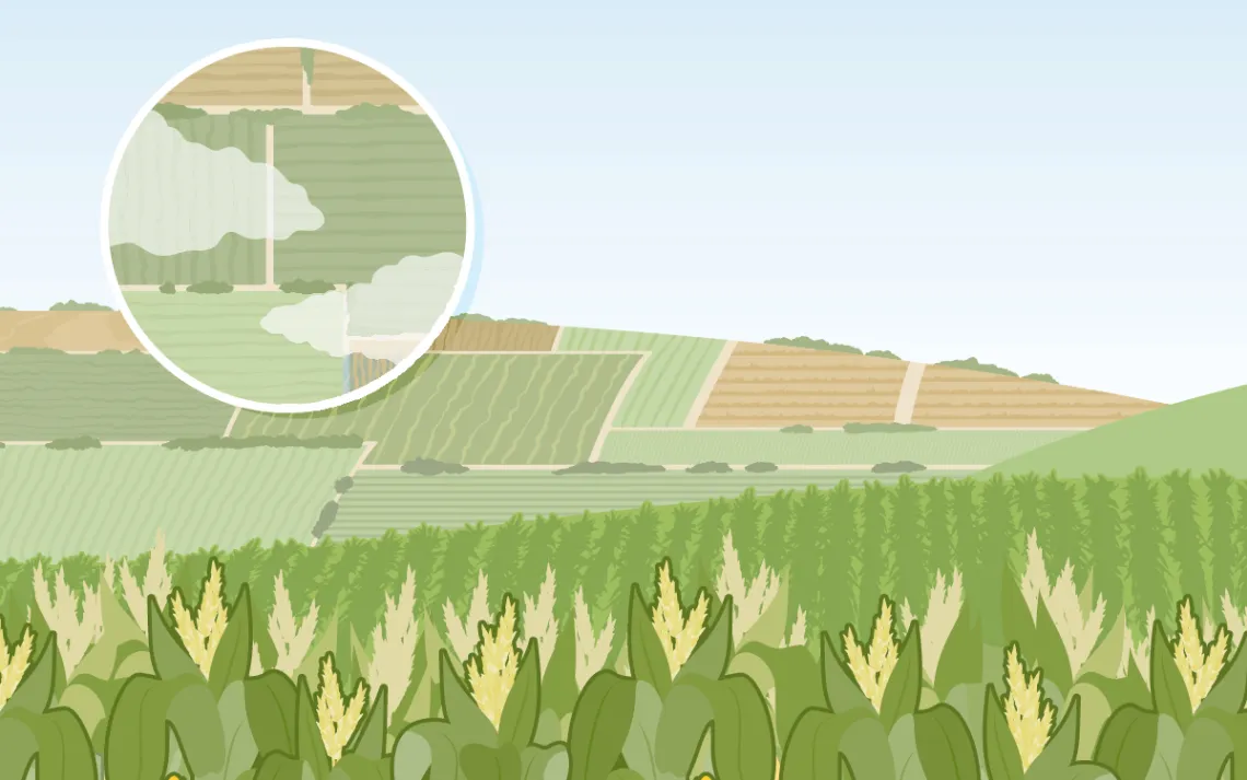 High-Tech Farmers Are Adapting to a Changing World