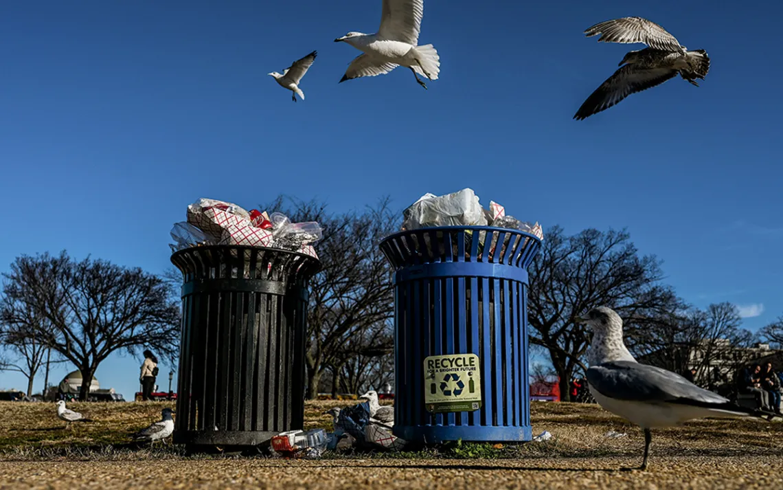 recycling bins