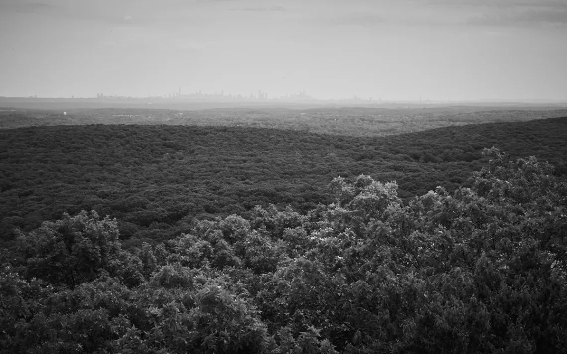 View from the fire tower