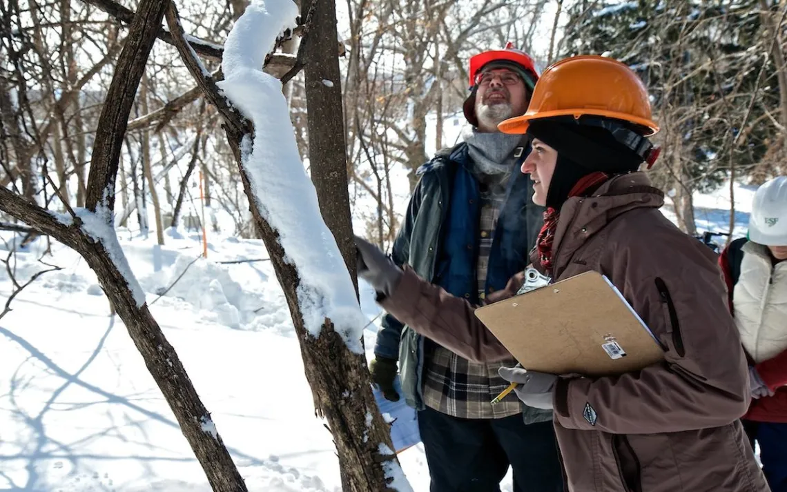 State University of New York College of Environmental Science and Forestry
