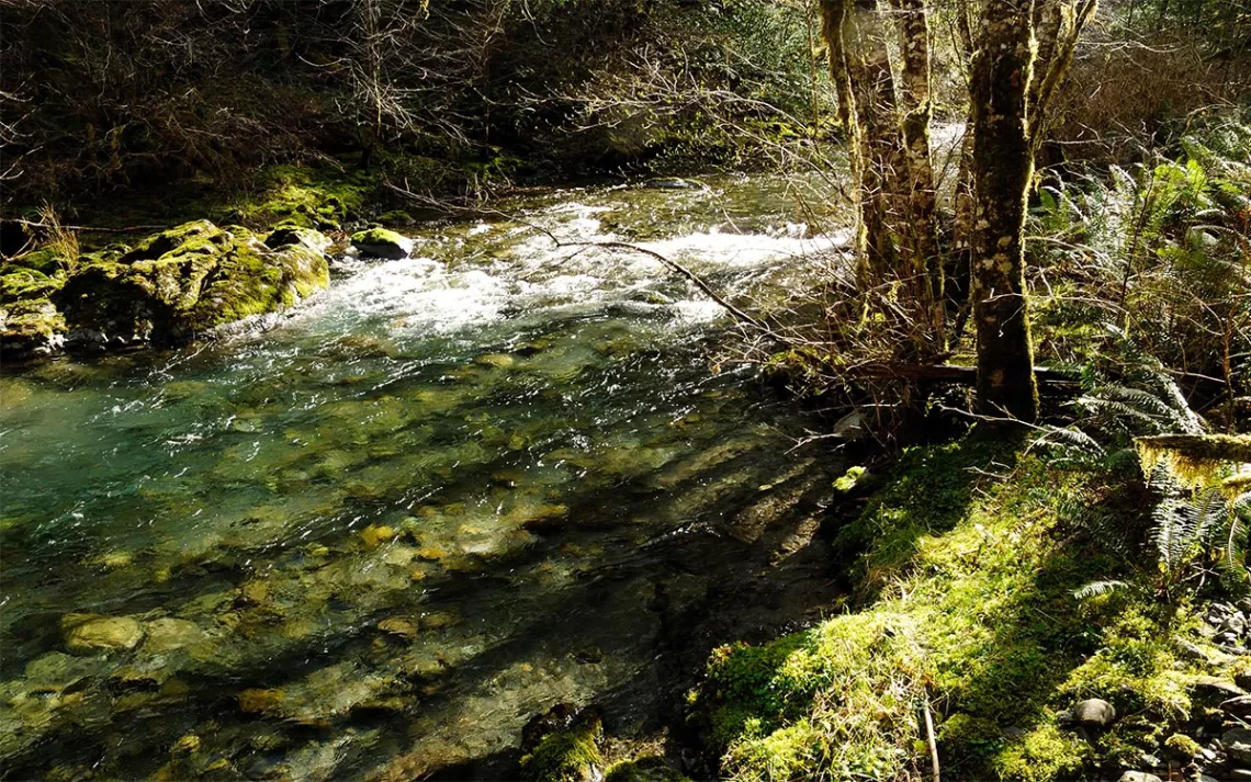 Elk River’s headwater tributaries