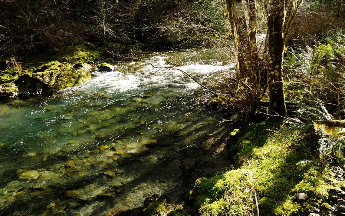 Elk River’s headwater tributaries