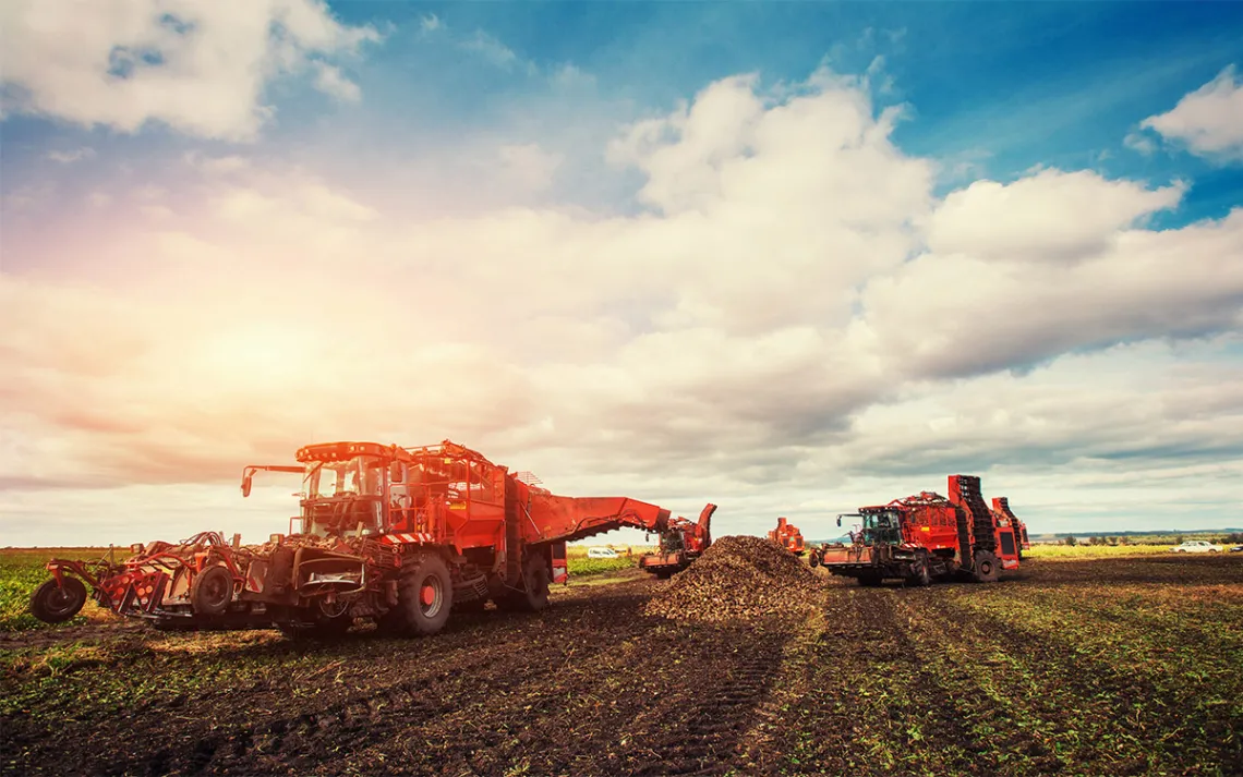 Industrial agriculture