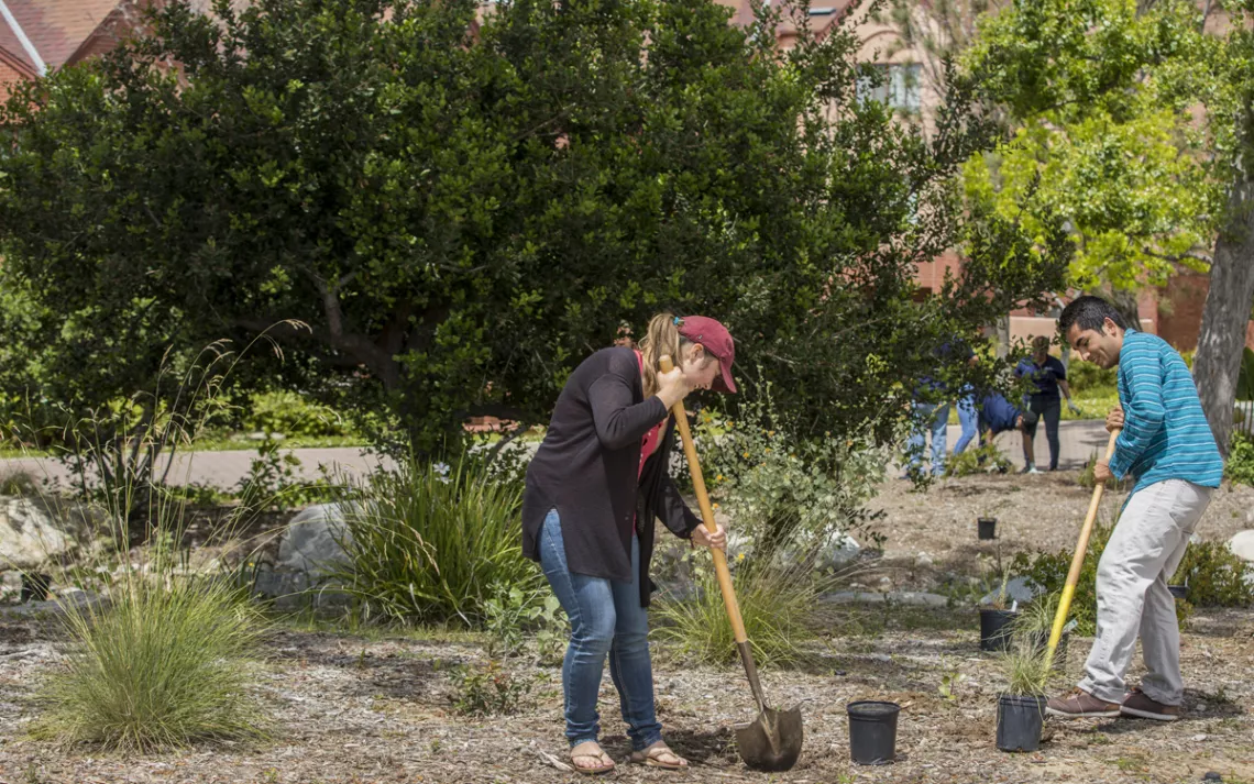 University of California, Irvine student gardeners