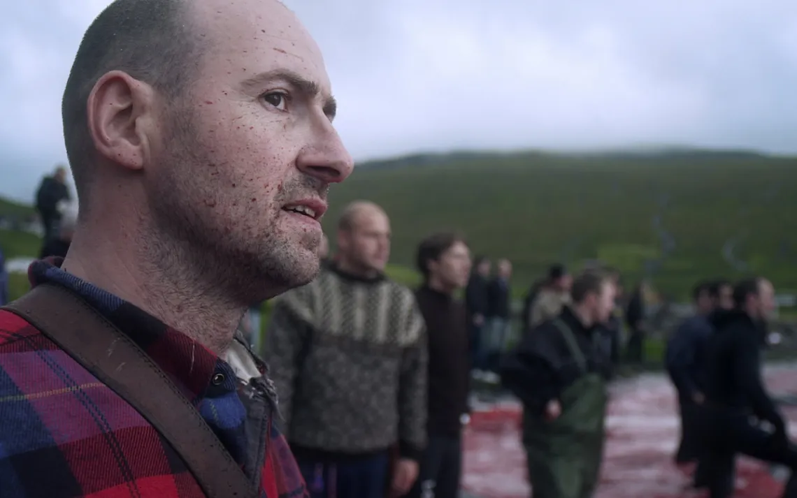 At the end of a pilot whale hunt, hundreds of people head to the&nbsp;beach, eager to get a free share of the meat.