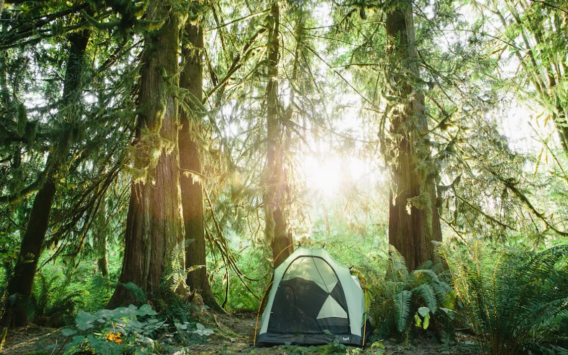 Hipcamp site in Finney Farms, Washington