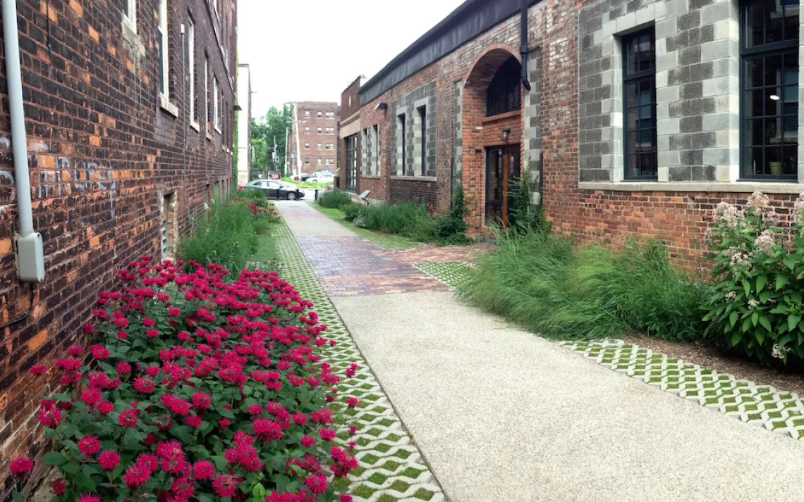 Alley with bee balm