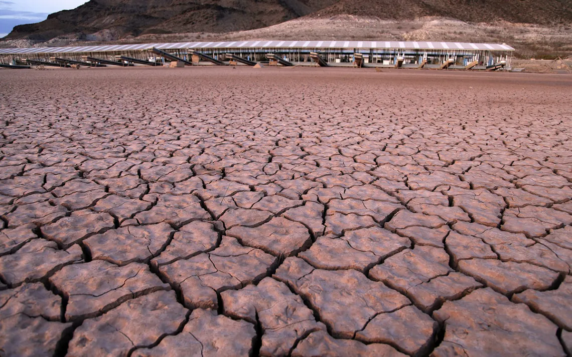 parched earth