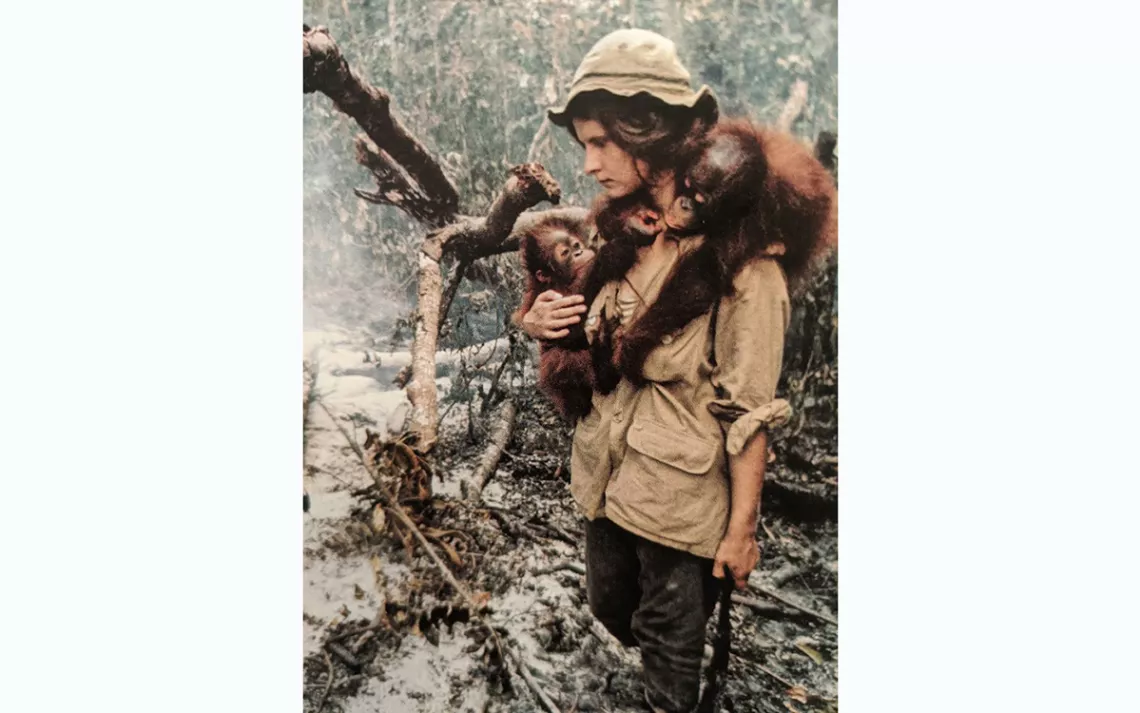 Biruté Mary Galdikas