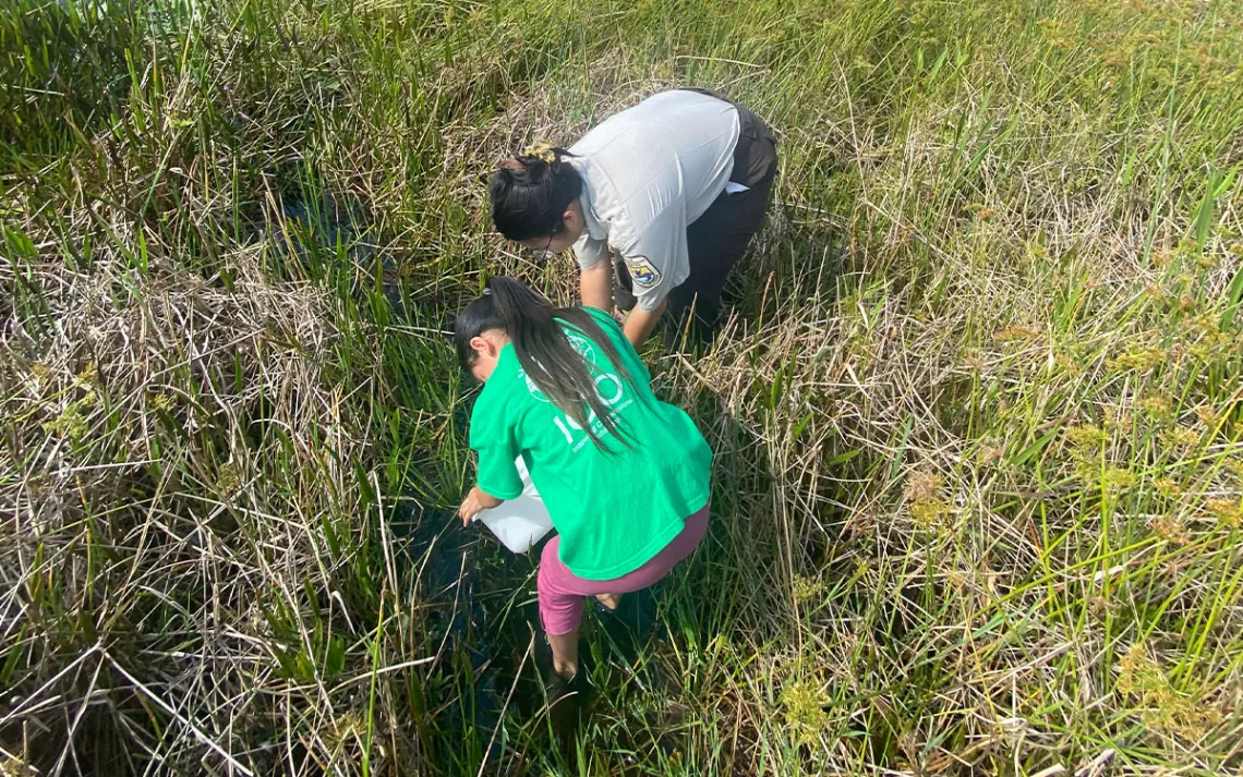 Photo courtesy of Allison Salerno