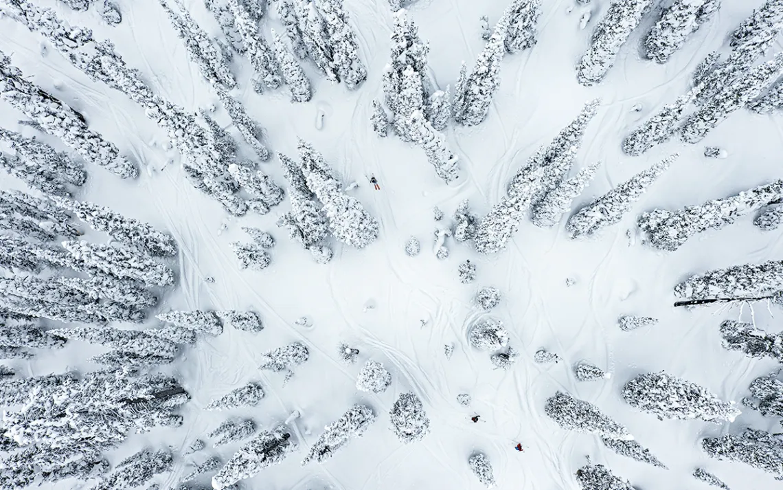 Skiers navigate the trees in the Canyon Creek backcountry ski area in Whitefish on Feb. 18, 2021.