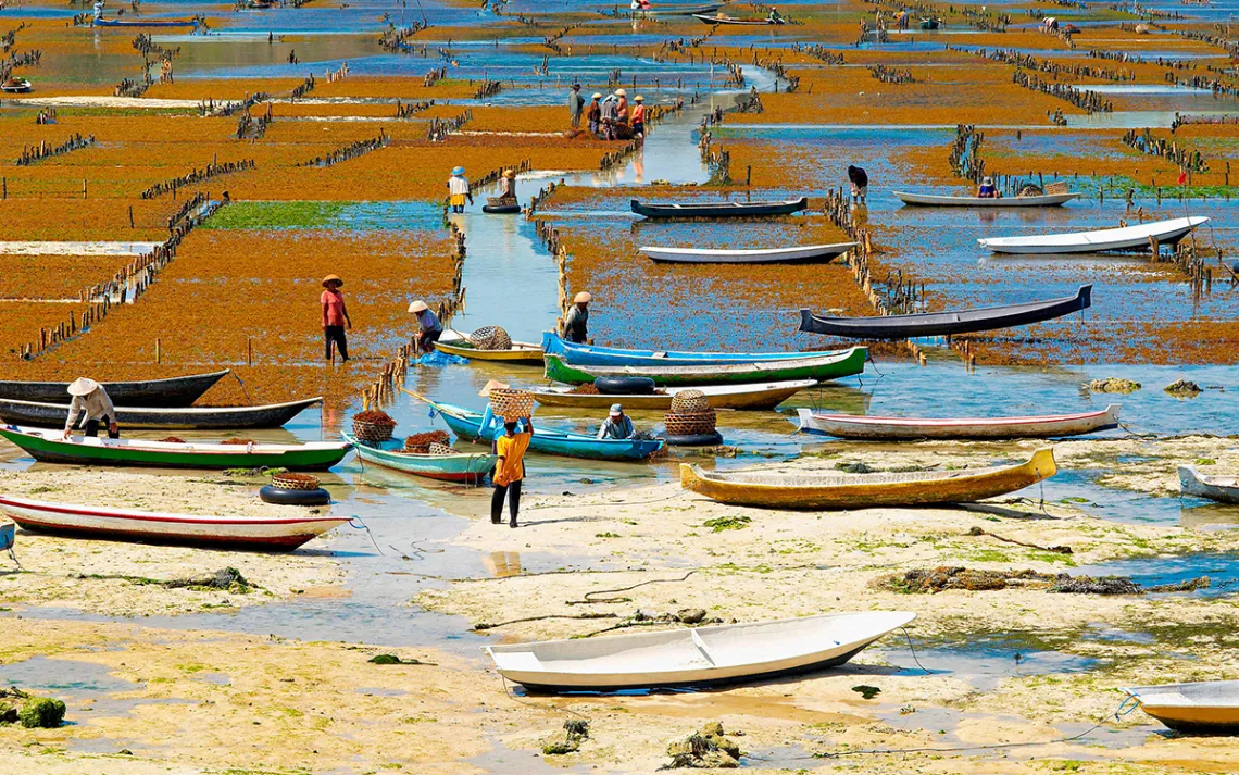 Photo by Tuul and Bruno Morandi/Alamy Stock Photo