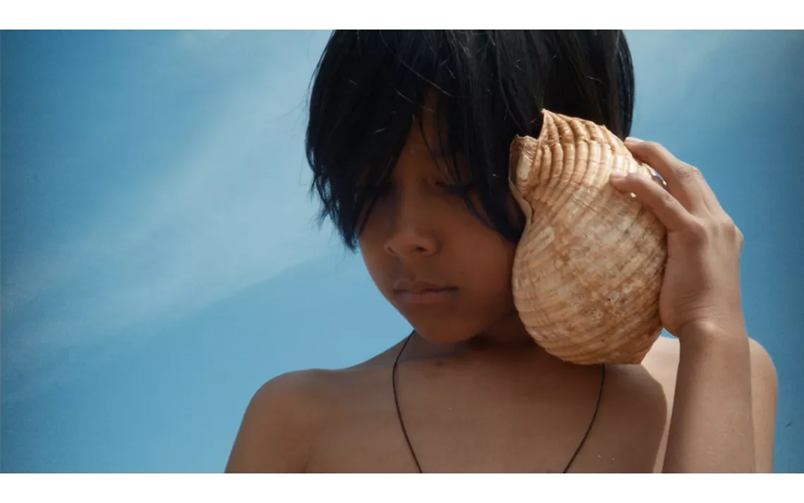 Time and the Seashell