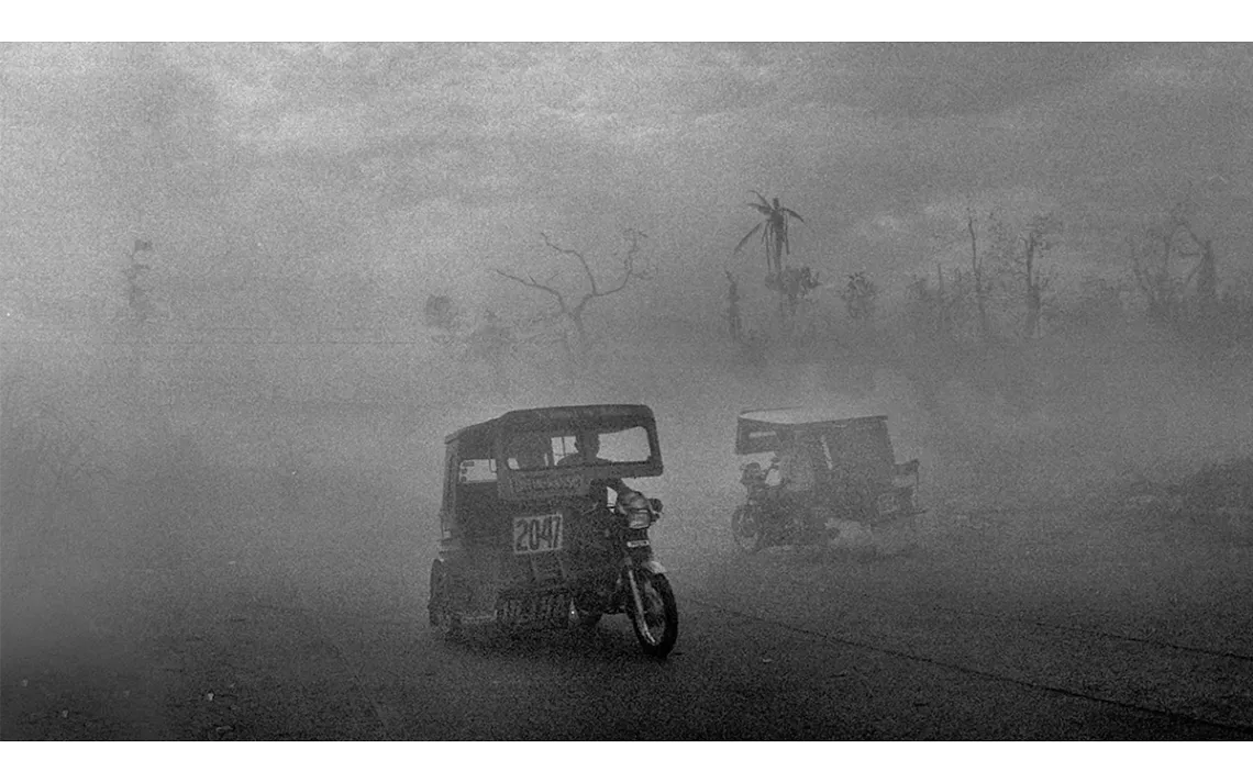 To Calm the Pig Inside