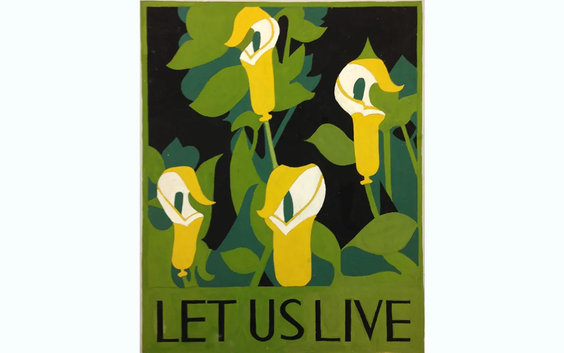 Poster from the Wild Flower Preservation Society, c. 1926. Photo courtesy of the Wild Flower Preservation Society