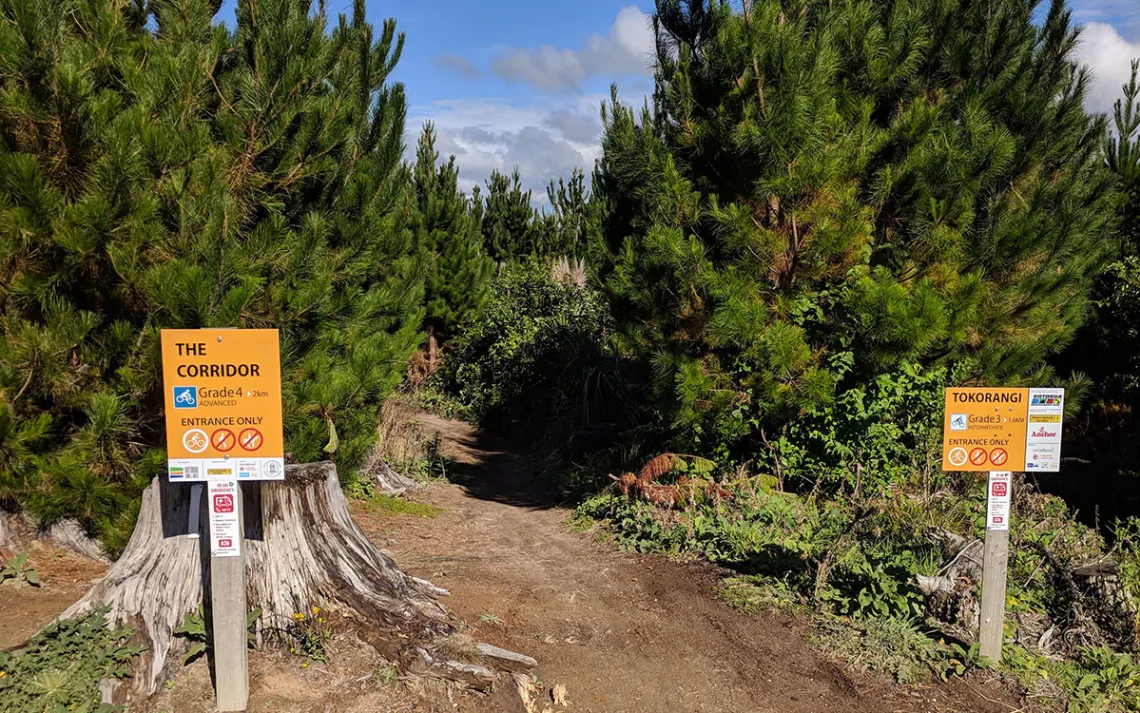 Mountain bike trail