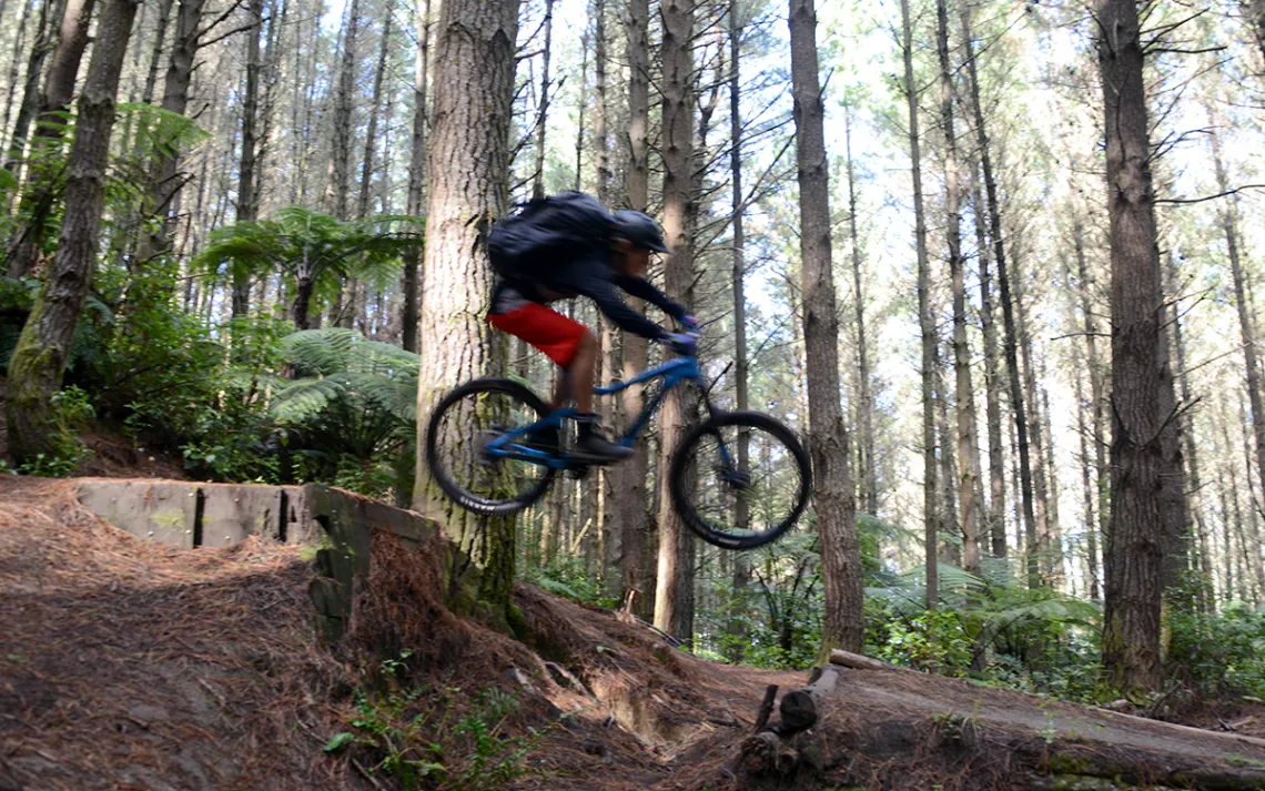 Mountain biking in New Zealand